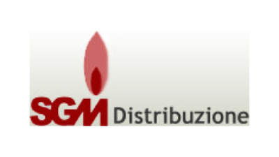 SGM DISTRIBUZIONE PAVESE SRL